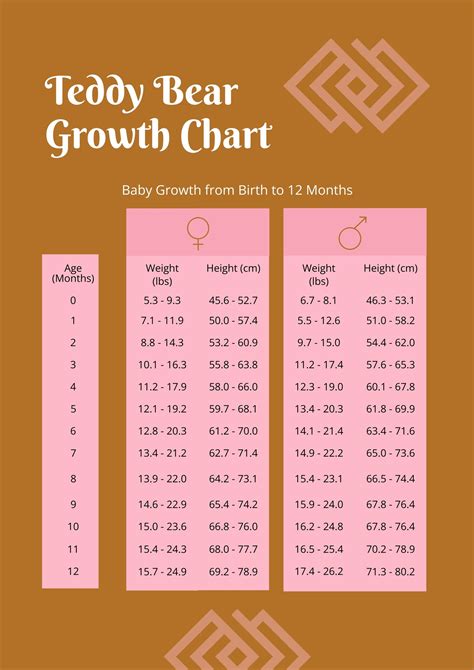 Teddy Bear Growth Chart in Illustrator, PDF - Download | Template.net