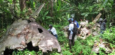 Yamamoto's Aircraft Wreck | Tony Wheeler's Travels