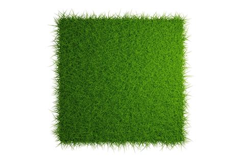 top view grass field isolated on white background with clipping path ...