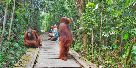 Taman Nasional Dan Cagar Alam Di Indonesia