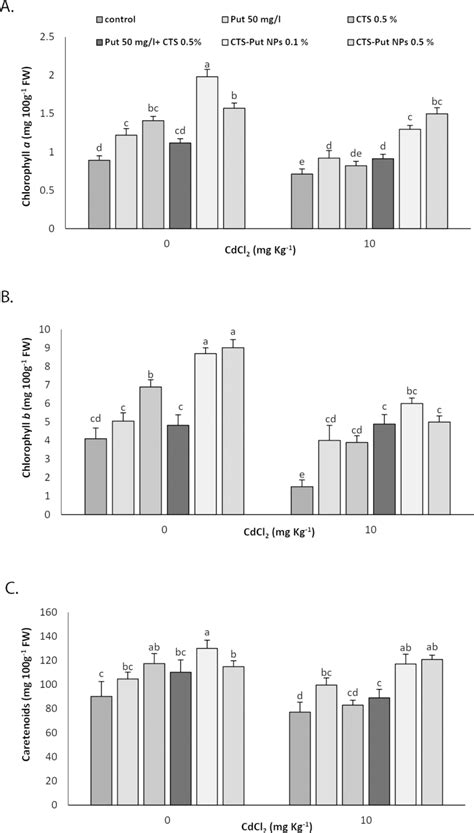 Effect of putrescine (Put; 50 mg L-1), chitosan (CTS; 0.5%), “Put 50 mg ...