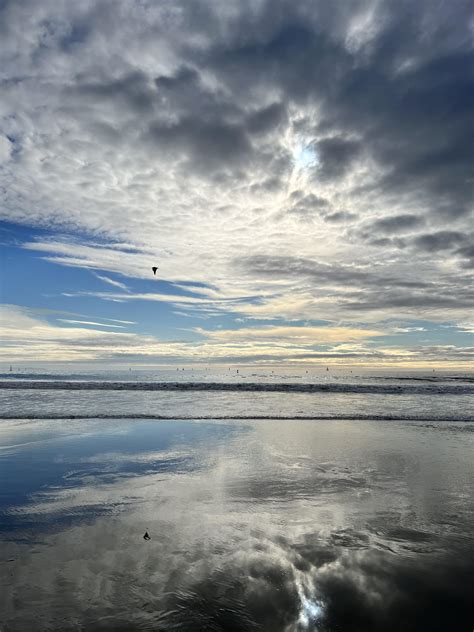 Santa Monica Beach today : r/LosAngeles