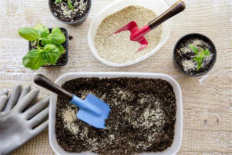 What is Vermiculite Gardening? | Kellogg Garden Organics™