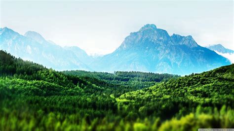 Mountain Forest 4K Wallpapers - Top Free Mountain Forest 4K Backgrounds - WallpaperAccess