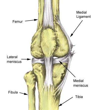 Lateral Meniscus Tear | Symptoms, Causes & Treatment