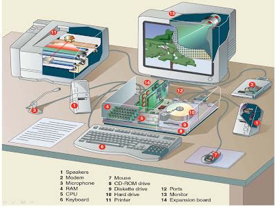 Hardware & Networking