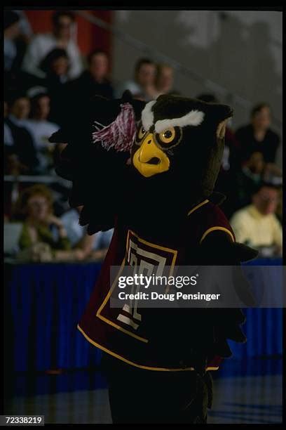 171 Temple University Mascot Stock Photos, High-Res Pictures, and ...