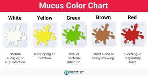 Mucus: Definition, Colors, Causes, and Conditions (2024)