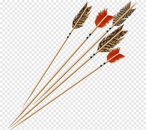 Real feather arrow, feather, archery png | PNGEgg