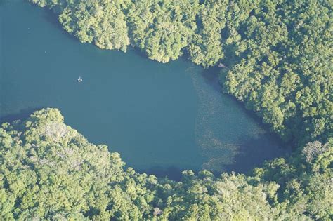 The Ultimate Guide To Swimming in JellyFish Lake in Palau - Unusual ...