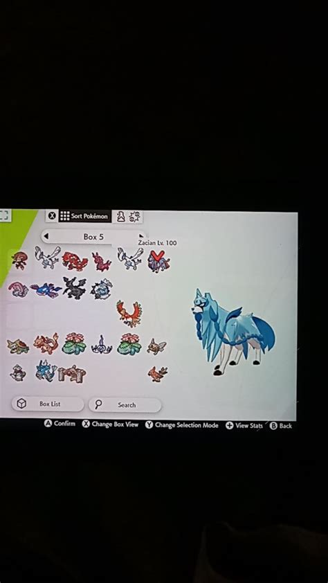 LF: Shiny Zamazenta Ft: Shiny Zacian : r/PokemonSwordAndShield