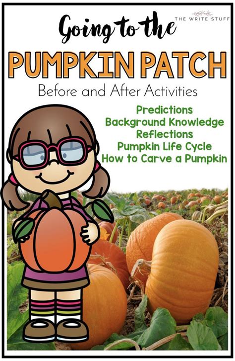 Halloween Activities Pumpkin Patch | Pumpkin lessons, Pumpkin patch activities, Halloween teaching