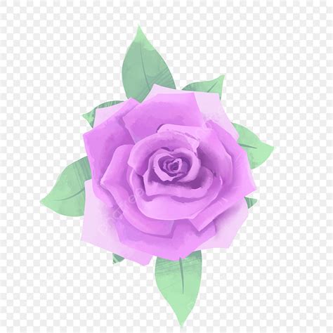 Lilac Rose PNG Transparent Images Free Download | Vector Files | Pngtree