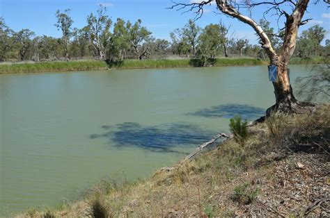 [EXPERT REVEALS] Bass Fishing In Muddy Water Secrets - 27 Tips ...