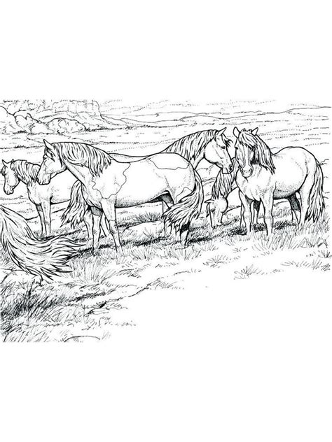 Realistic Wild Horse Coloring Pages - Barry Morrises Coloring Pages