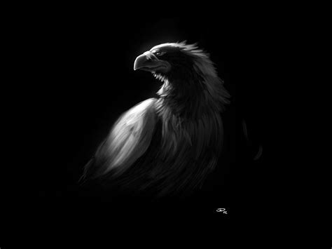 Eagle Black and White Wallpapers - Top Free Eagle Black and White ...