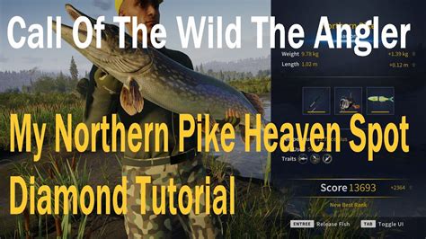 Call Of The Wild The Angler, My Northern Pike Heaven Spot, Diamond Tutorial - YouTube