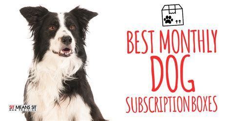 Best Monthly Dog Subscription Boxes 2020 - Sit Means Sit San Antonio