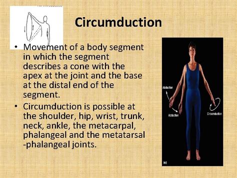 Movements of Joints Introduction While describing movements of