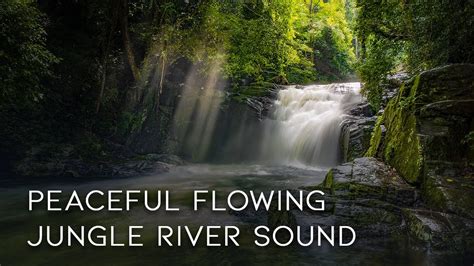 Peaceful Flowing River Sound | Relaxing Nature Sounds | White Noise for Sleep and Study | 8 ...