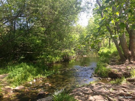 Los Gatos Creek Trail | San Jose