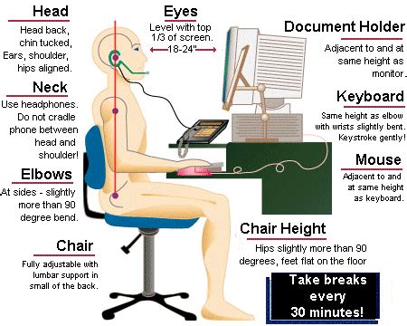 Ergonomic Information | SafeLane | Lane Community College