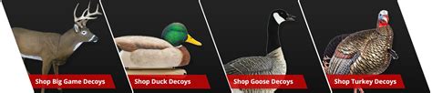 Decoys