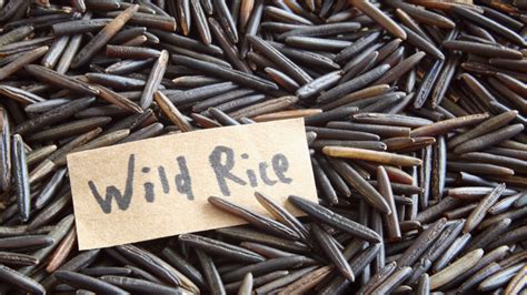 Wild Rice – 12 Health Benefits, Uses, and Side-effects - Helthy Leaf