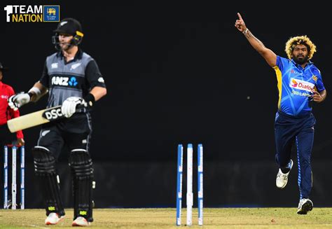 Malinga highest Wicket Taker in T20 surpasses Shahid Afridi | Srilankan ...