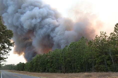 Louisiana’s largest wildfire blamed on arson - 3iA