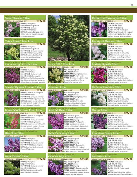 Plant Catalog by Ray Wiegand's Nursery - Issuu