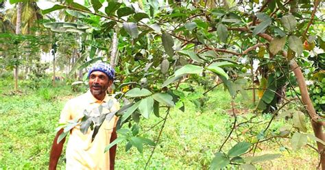 300 Plant Varieties in 1 Acre Increases Farmer's Profits to 10 Lakhs