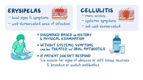 Cellulitis and erysipelas: Video & Meaning | Osmosis