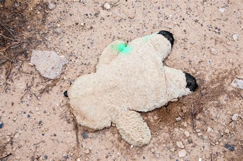 Desert Pavement | Land Arts of the American West