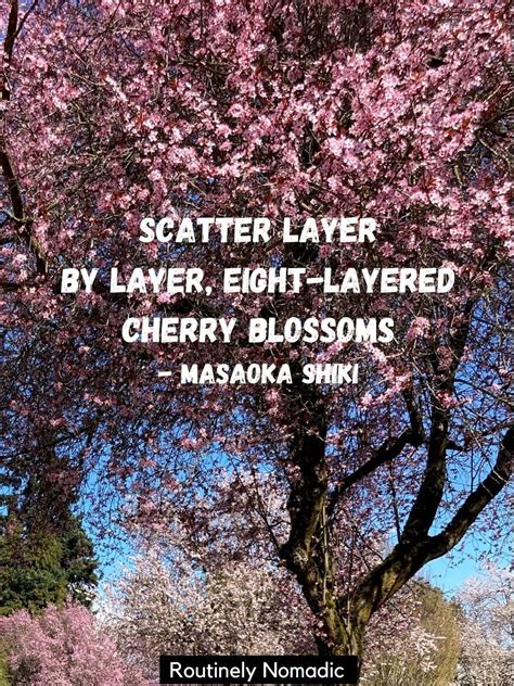 170 Blooming Cherry Blossom Quotes | Routinely Nomadic