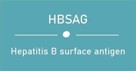 HBsAg Full Form: Hepatitis B Surface Antigen - javaTpoint