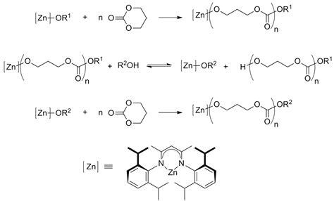 Polymers | Free Full-Text | Ring-Opening Polymerization—An Introductory Review