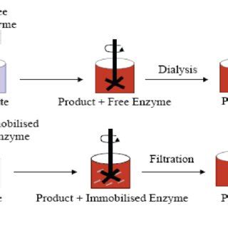 (PDF) Methods of Enzyme Immobilization