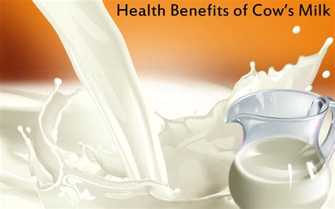 Cow milk benefits for health and body, skin, hair and Side effects