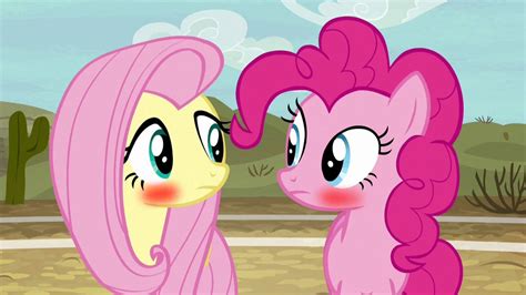 Fluttershy X Pinkie Pie by sonicstyle24 on DeviantArt