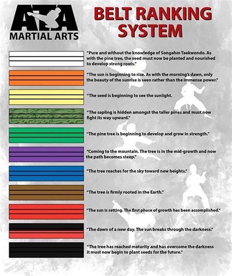 Pin on ATA Martial Arts