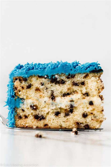 Cookie Monster Cake (for Decorating Beginners) - Sally's Baking Addiction