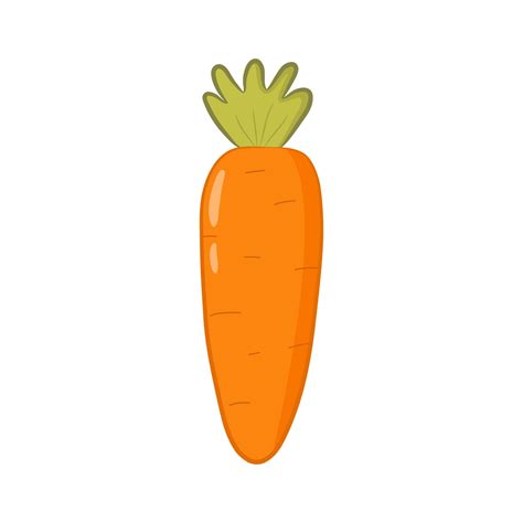 Cute orange carrot in cartoon style. Colorful carrot isolated on white ...