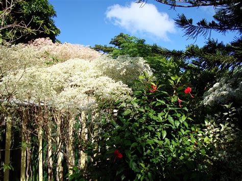 Interactive Map of Tortola - Search Touristic Sights. Hiking and Biking Routes