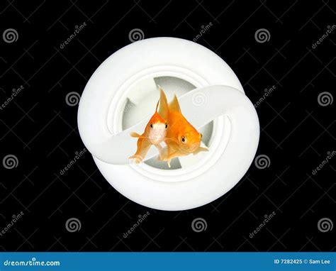 Environmental Friendly Light Bulb Stock Image - Image of orange, animal: 7282425