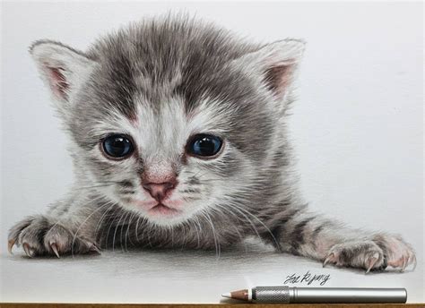 Design Stack: A Blog about Art, Design and Architecture: Cute Kittens and Puppies Drawings