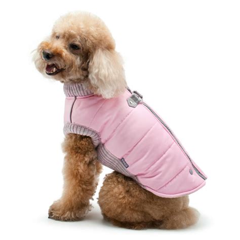 Runner Dog Coat by Dogo - Pink | BaxterBoo