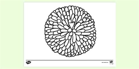 FREE! - Pom Pom Craft Colouring | Colouring Sheets - Twinkl