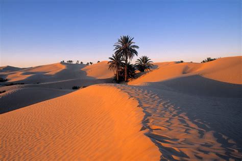 sahara desert, douz, tunisia | Desert pictures, Desert travel, Travel around the world