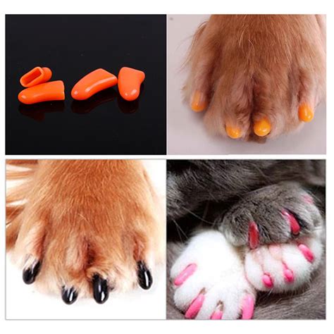 2017 Useful 20pcs/set Soft Cat Nail Caps Cat Nail Cover Paw caps Pet Nail Protector with free ...